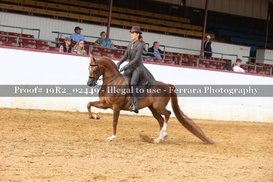 Proof 19R2_02449