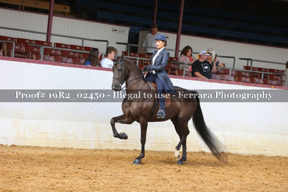 Proof 19R2_02450