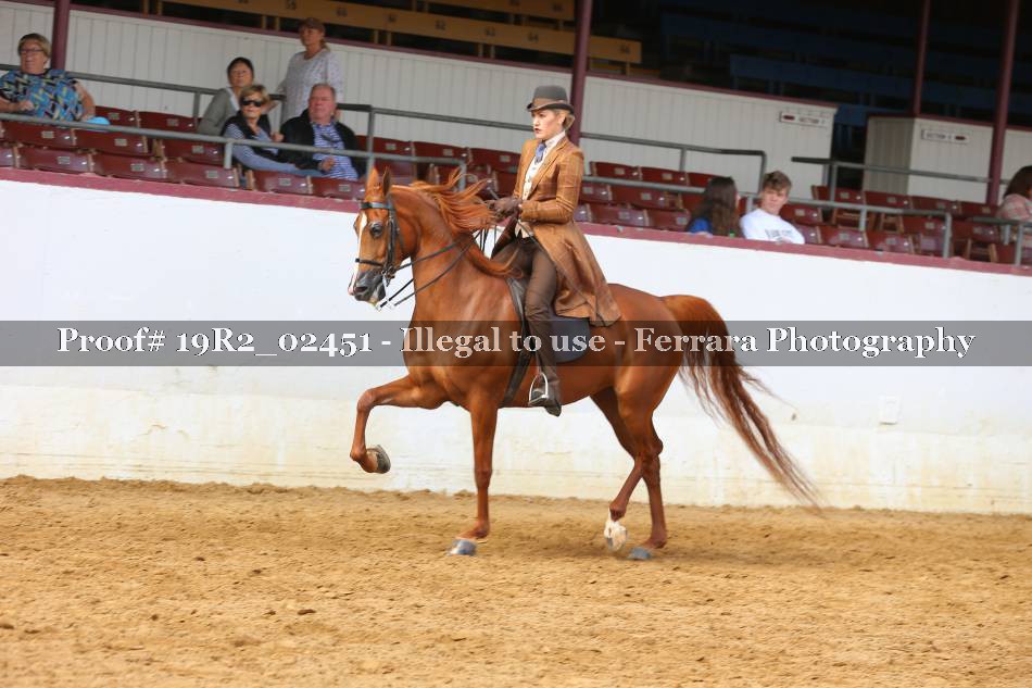 Proof 19R2_02451