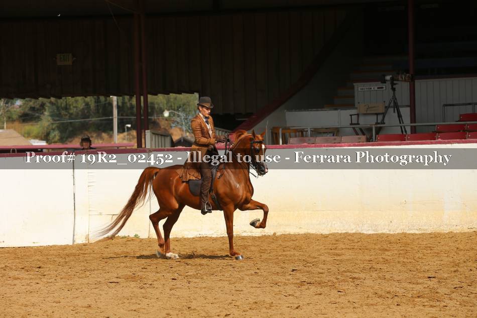 Proof 19R2_02452