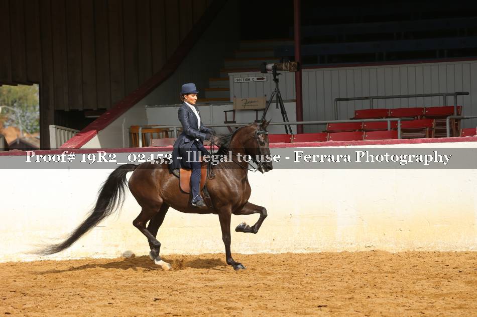Proof 19R2_02453