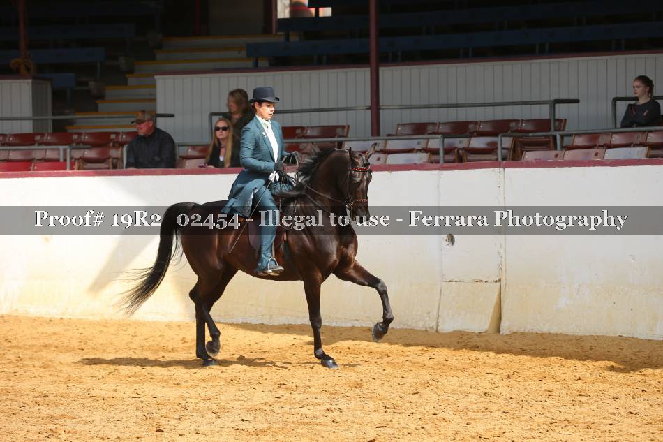 Proof 19R2_02454