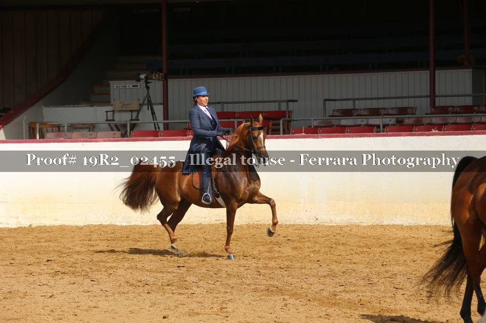 Proof 19R2_02455