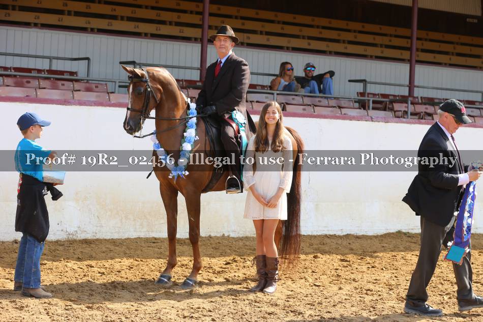 Proof 19R2_02456