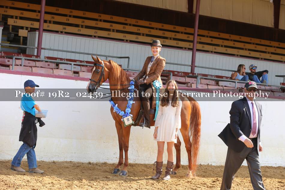 Proof 19R2_02459