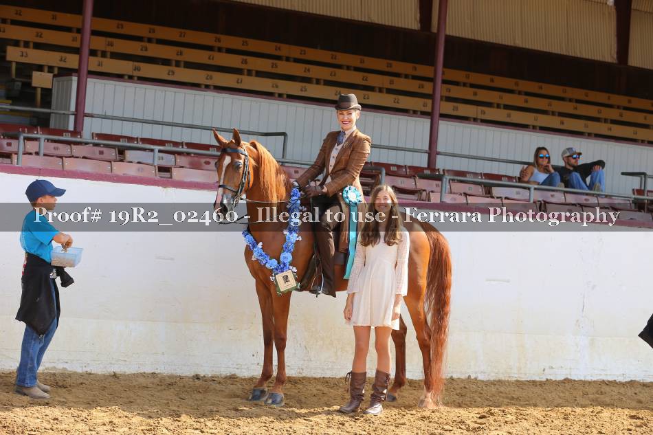 Proof 19R2_02460