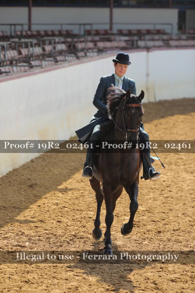 Proof 19R2_02461