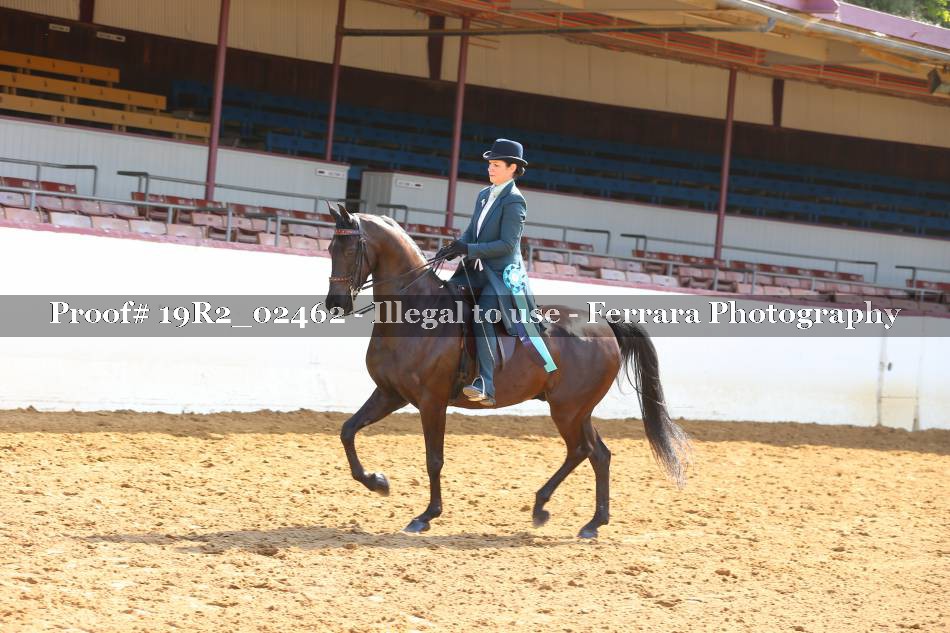 Proof 19R2_02462