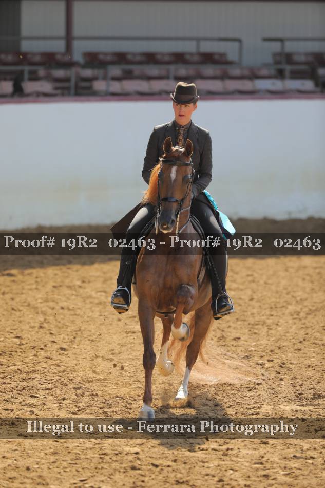 Proof 19R2_02463