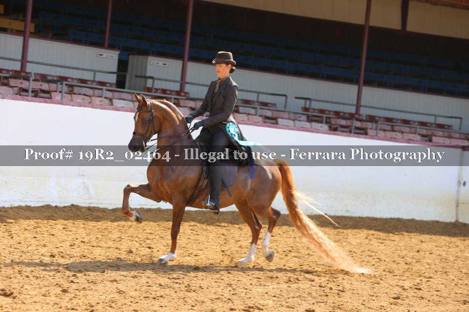 Proof 19R2_02464