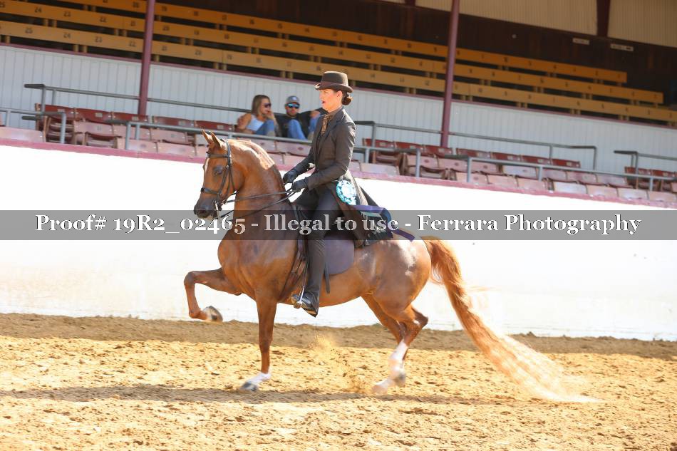 Proof 19R2_02465