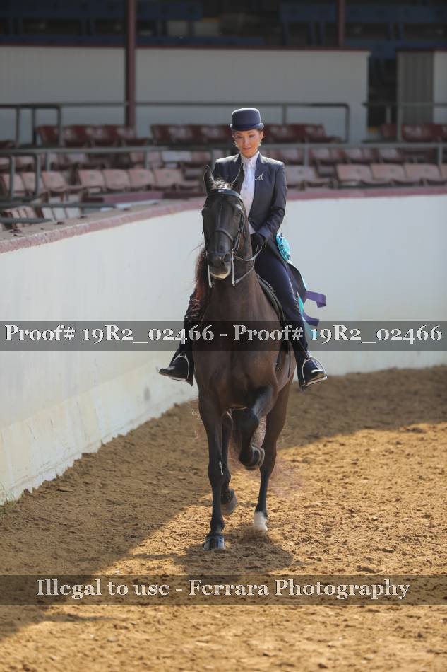 Proof 19R2_02466