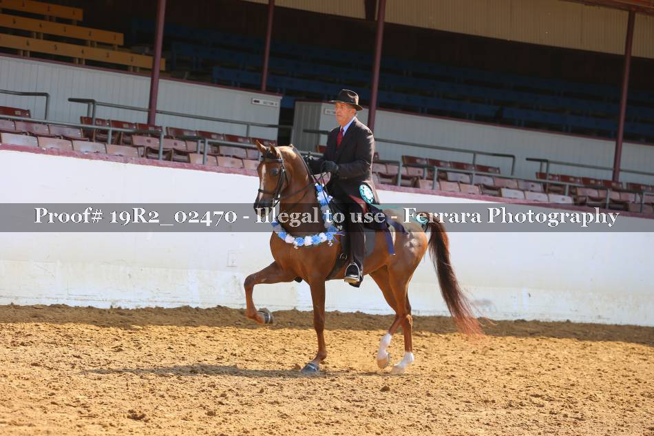 Proof 19R2_02470