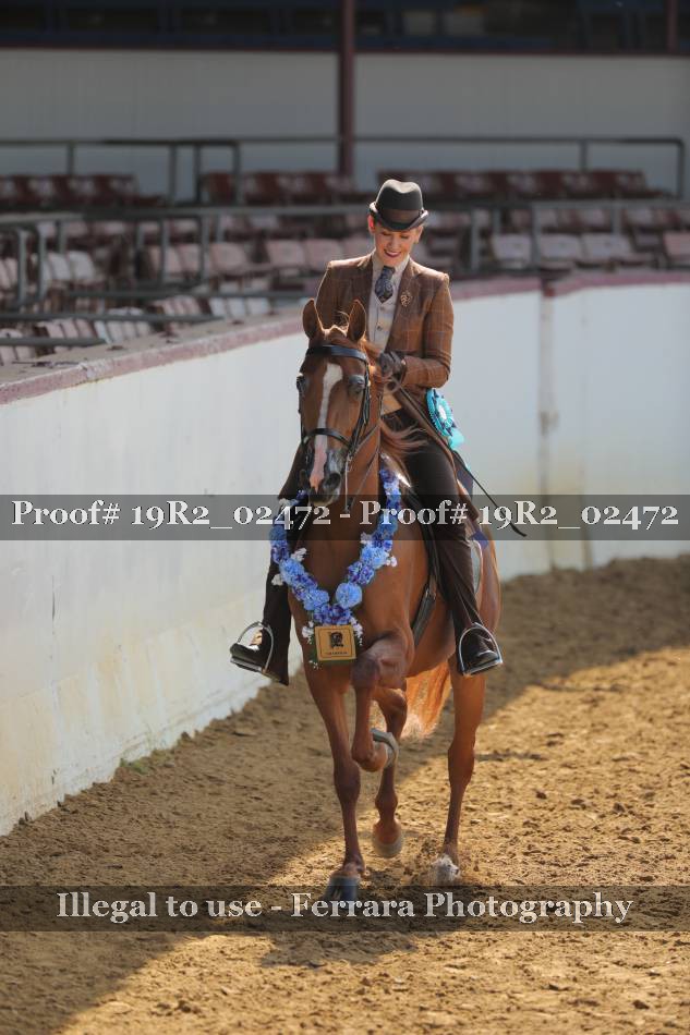 Proof 19R2_02472