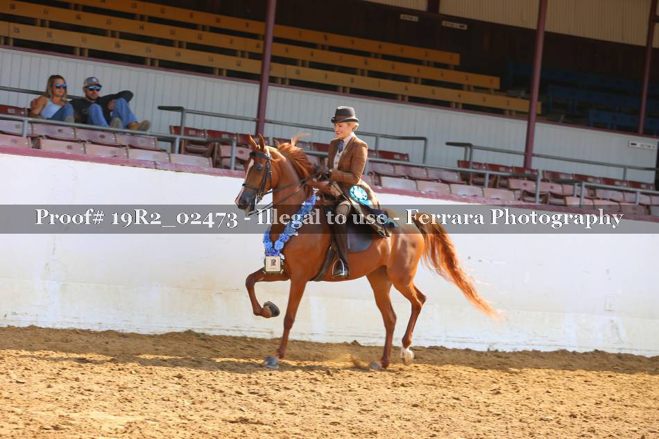 Proof 19R2_02473