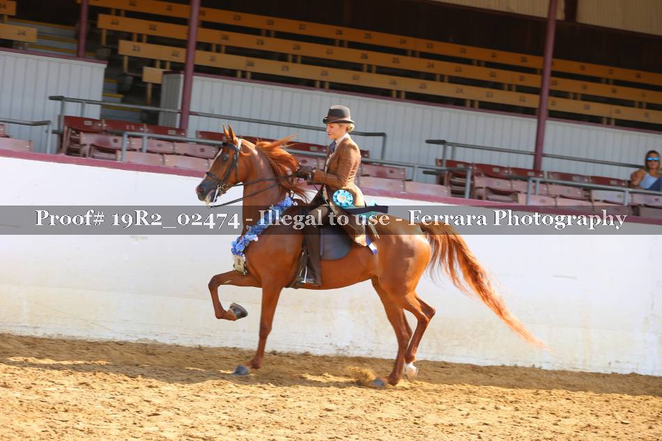 Proof 19R2_02474