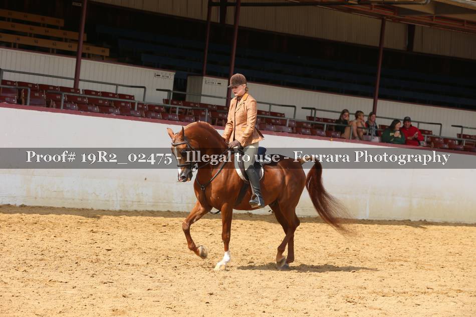 Proof 19R2_02475