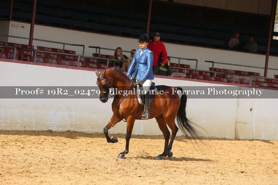 Proof 19R2_02479