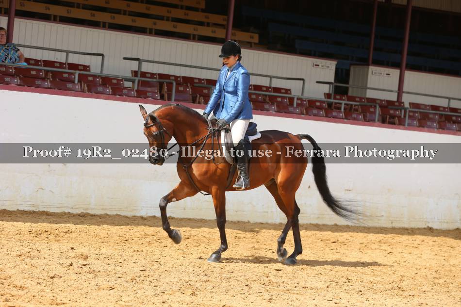 Proof 19R2_02480