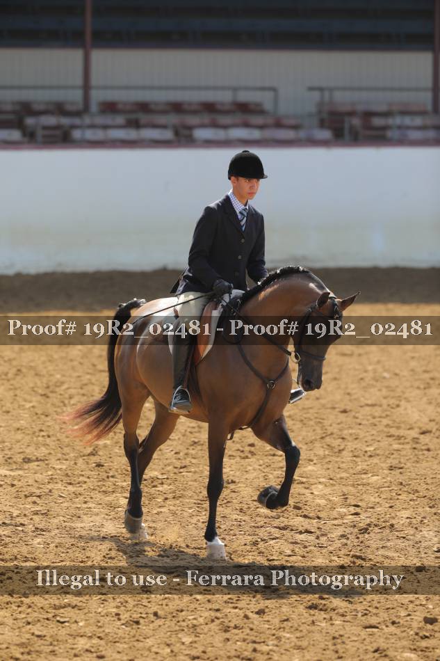 Proof 19R2_02481