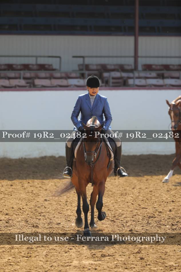 Proof 19R2_02482