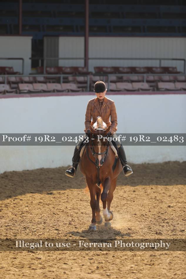 Proof 19R2_02483
