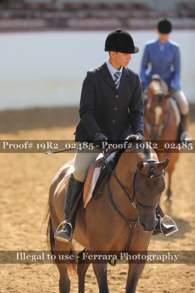 Proof 19R2_02485