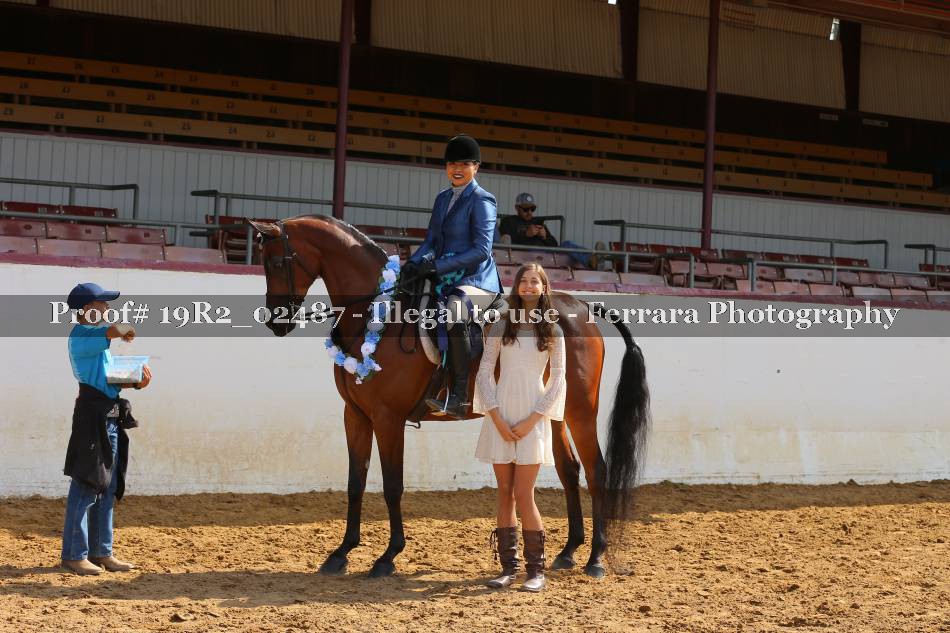 Proof 19R2_02487