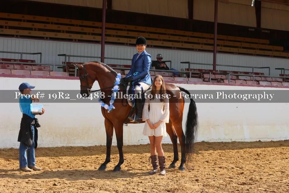 Proof 19R2_02488