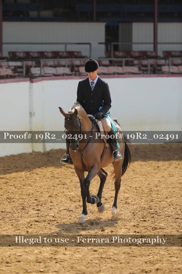 Proof 19R2_02491