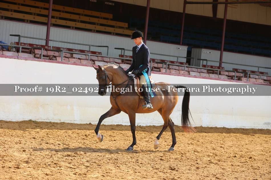 Proof 19R2_02492