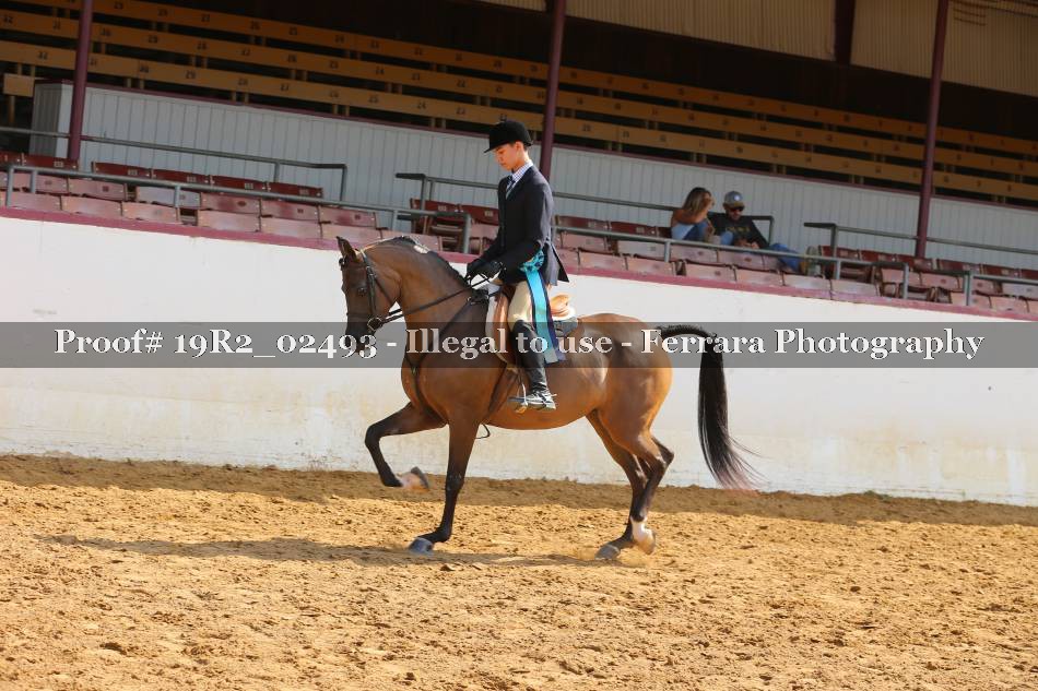 Proof 19R2_02493