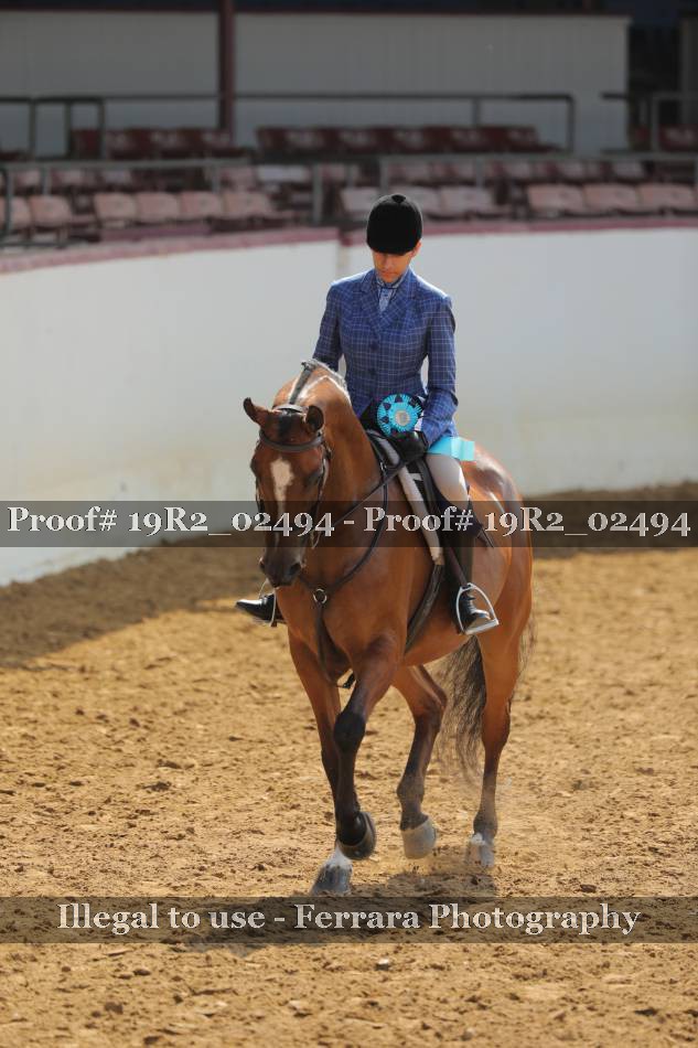 Proof 19R2_02494