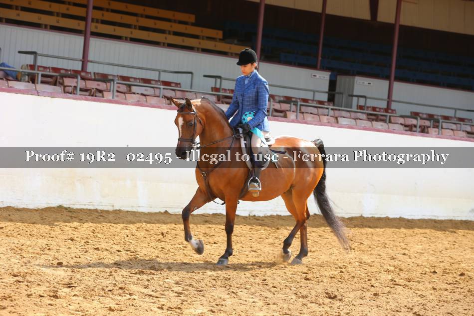 Proof 19R2_02495