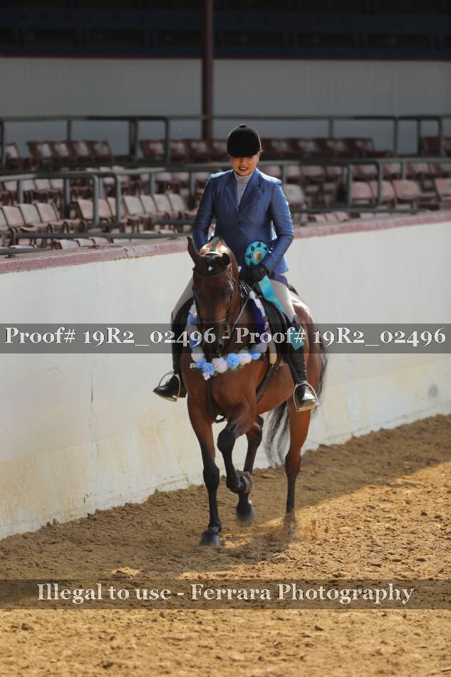 Proof 19R2_02496
