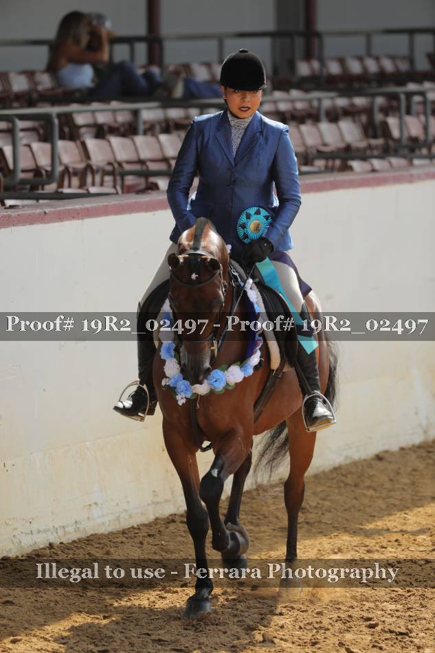 Proof 19R2_02497