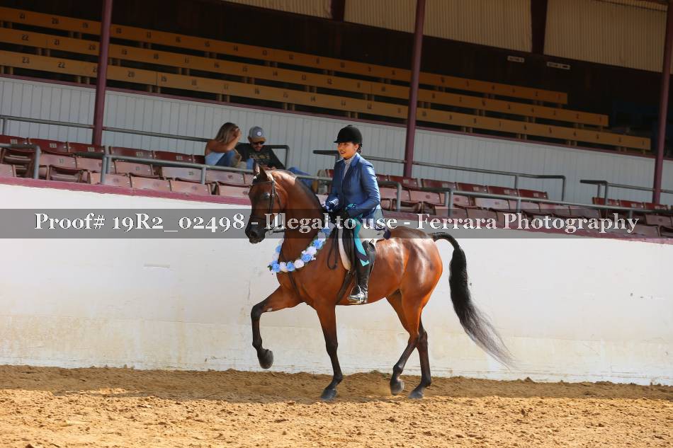 Proof 19R2_02498