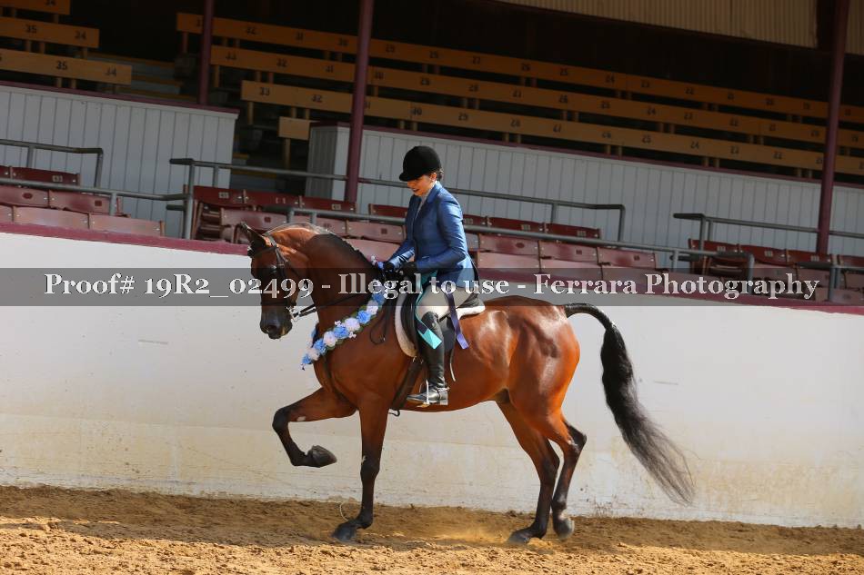 Proof 19R2_02499