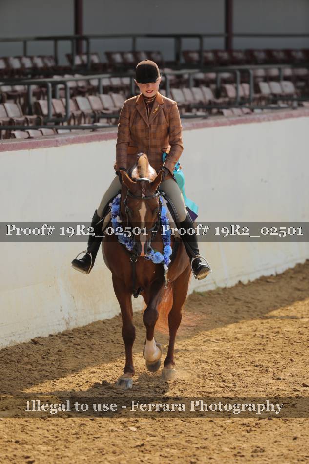 Proof 19R2_02501