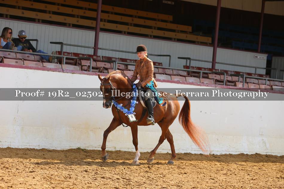 Proof 19R2_02502