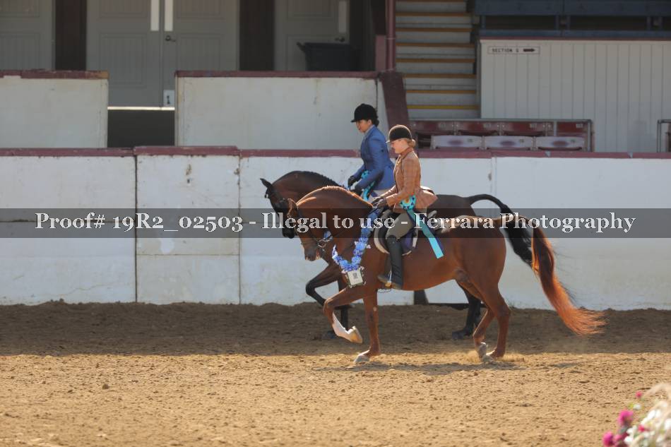 Proof 19R2_02503