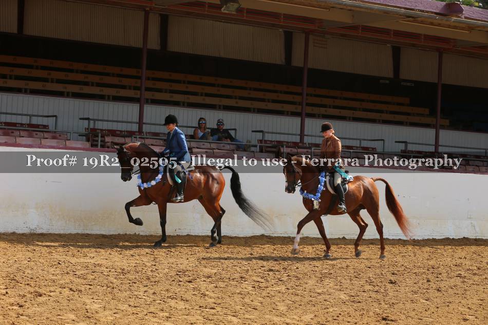 Proof 19R2_02505