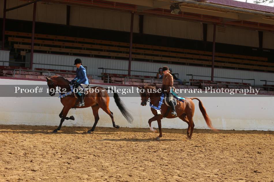 Proof 19R2_02506