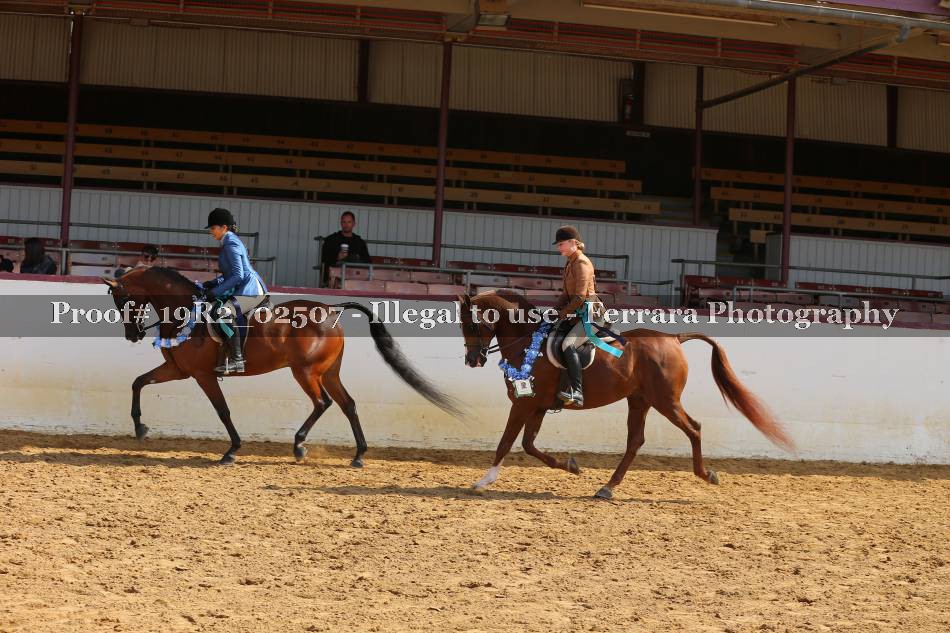 Proof 19R2_02507