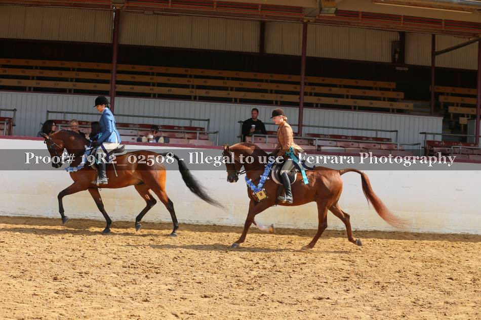 Proof 19R2_02508