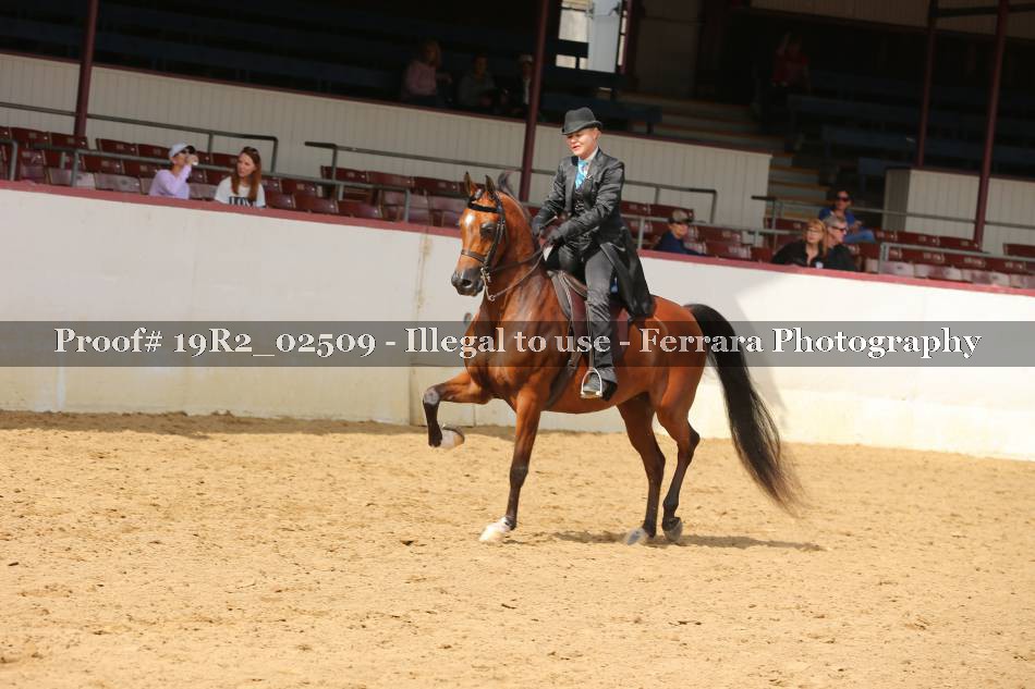 Proof 19R2_02509
