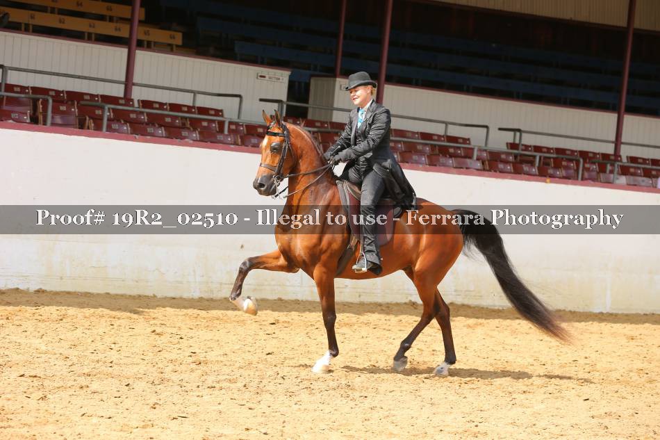 Proof 19R2_02510