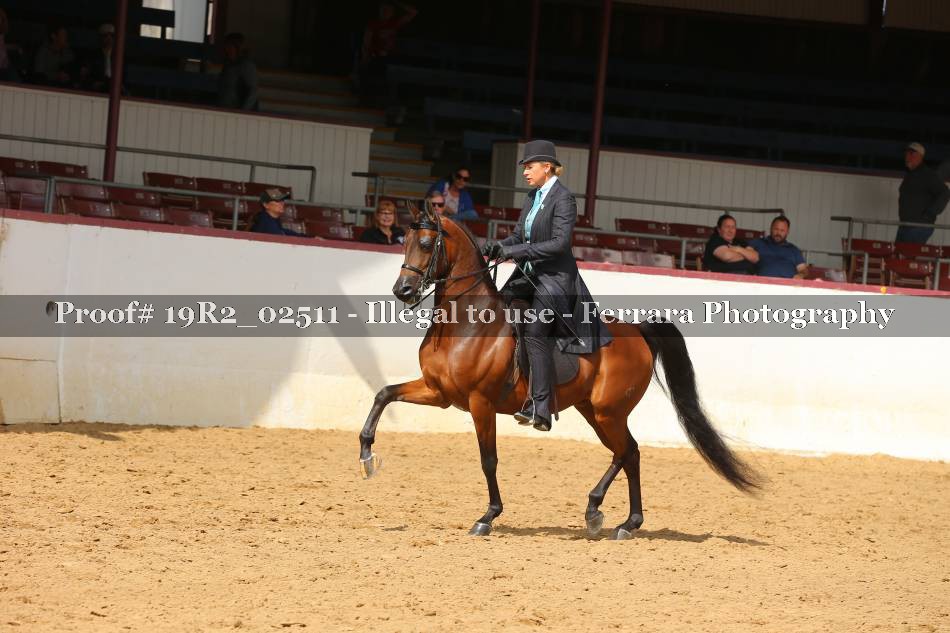 Proof 19R2_02511