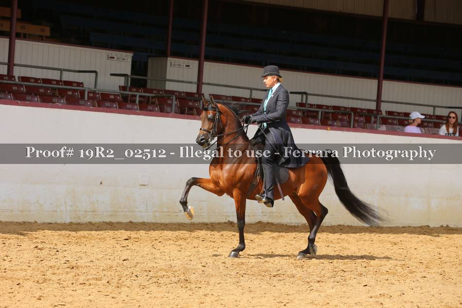 Proof 19R2_02512