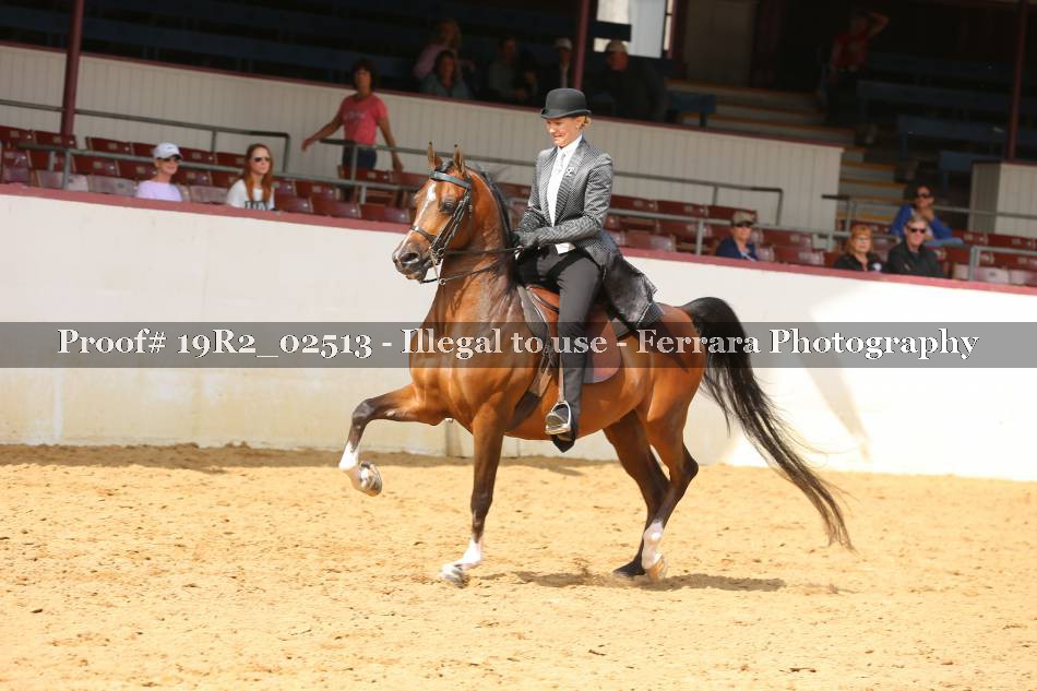 Proof 19R2_02513